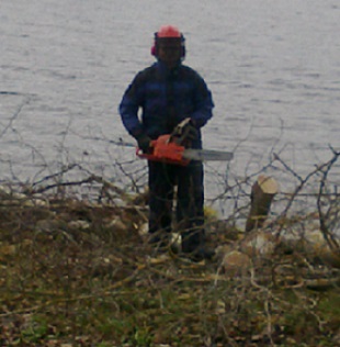 Tonttihakkuu