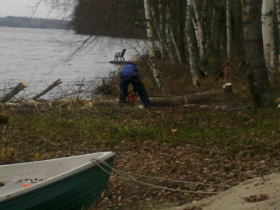 Maisemointihakkuu