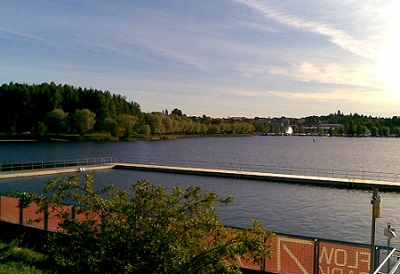 Puunkaato Lappeenranta